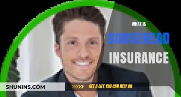 Understanding Goosehead Insurance: Coverage, Benefits, and How It Works