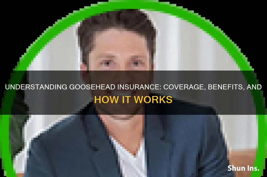 what is goosehead insurance