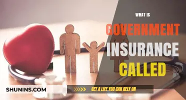 Government Insurance: What's Covered and How to Apply