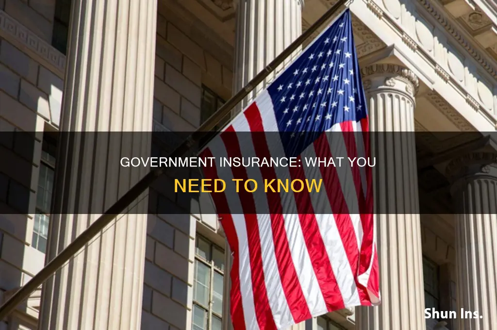 what is government insurance