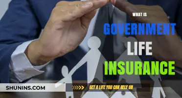 Understanding Government Life Insurance: A Comprehensive Guide