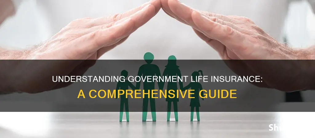 what is government life insurance