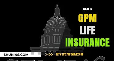 Understanding GPM Life Insurance: A Comprehensive Guide