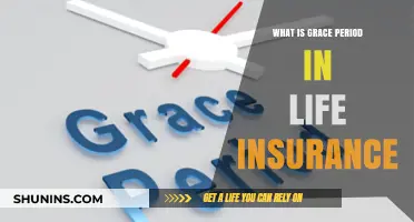 Understanding Grace Periods: A Lifeline in Life Insurance