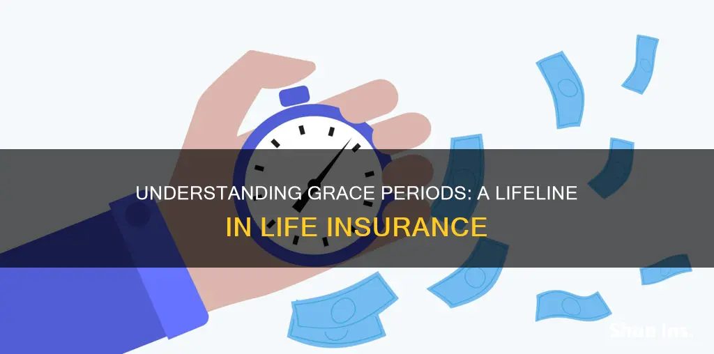 what is grace period in life insurance