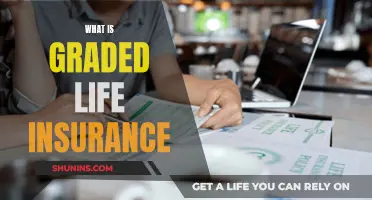 Graded Life Insurance: Understanding the Policy and Its Benefits