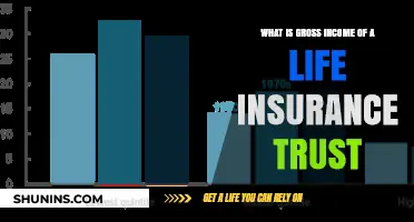 Understanding the Gross Income of a Life Insurance Trust