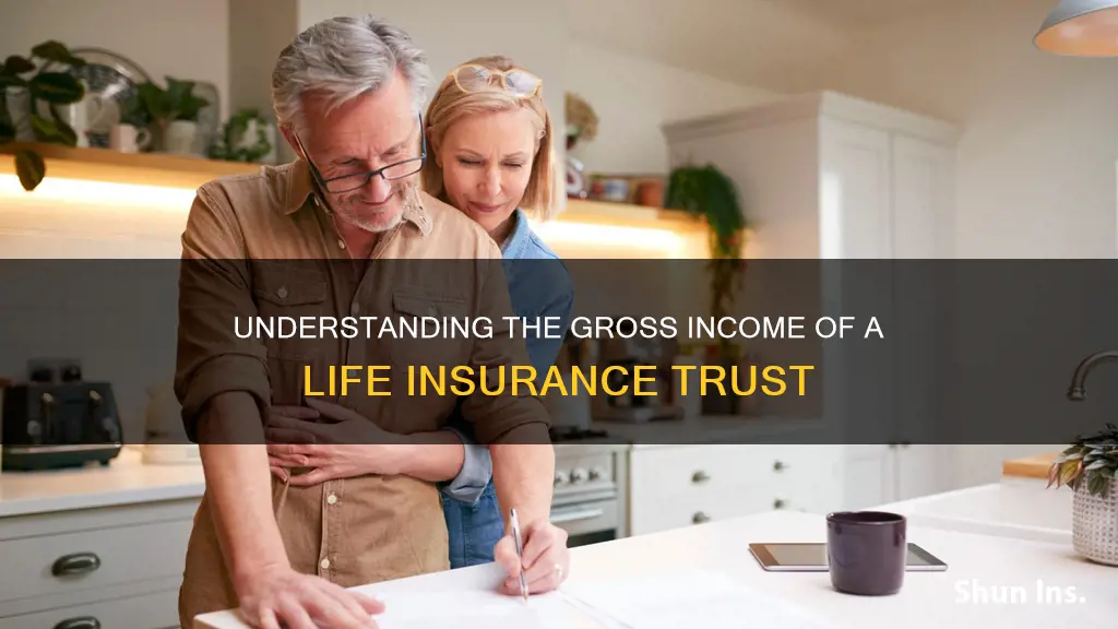 what is gross income of a life insurance trust