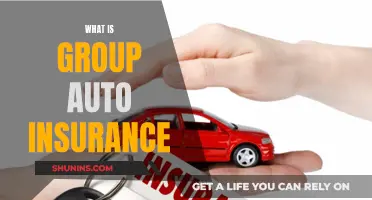 Auto Insurance Groups: How to Save Money Together