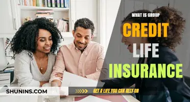 Understanding Group Credit Life Insurance: A Comprehensive Guide