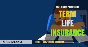 Understanding Group Decreasing Term Life Insurance: A Comprehensive Guide