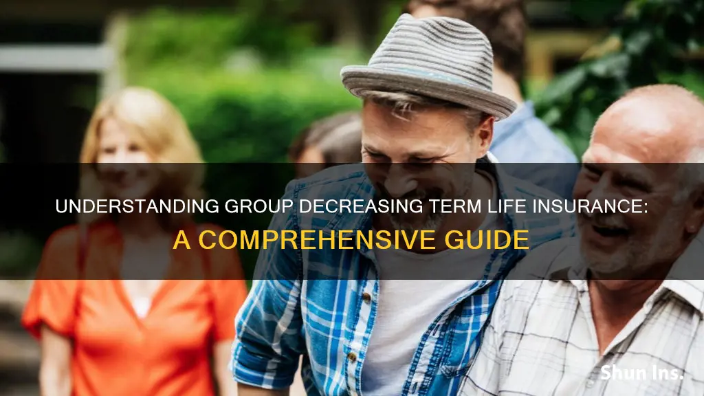 what is group decreasing term life insurance