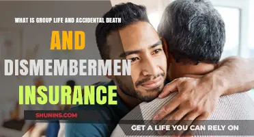 Unraveling the Mystery: Group Life and Accidental Death & Dismemberment Insurance Explained