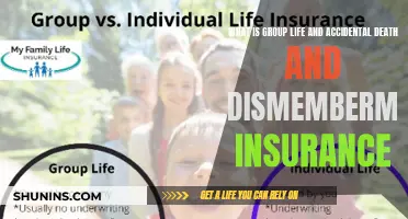 Life, Death, and Dismemberment: Group Insurance Explained