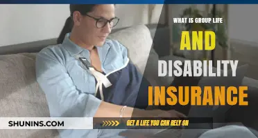 Understanding Group Life and Disability Insurance: A Comprehensive Guide