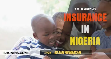 Understanding Group Life Insurance in Nigeria: A Comprehensive Guide