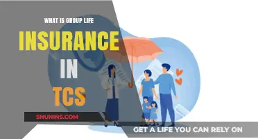 Understanding Group Life Insurance: A Comprehensive Guide for TCS Employees