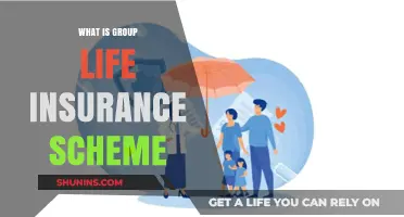 Unraveling the Group Life Insurance Scheme: A Comprehensive Guide