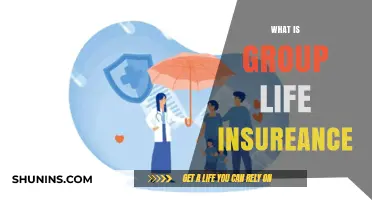 Understanding Group Life Insurance: A Comprehensive Guide for Employees