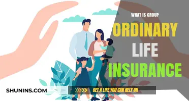 Unraveling the Mystery: Group Ordinary Life Insurance Explained