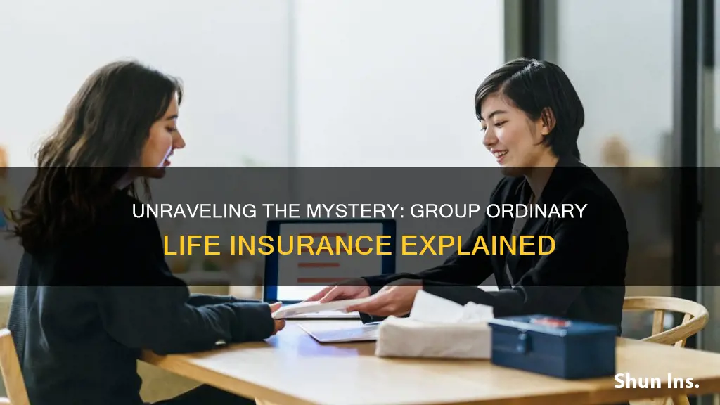 what is group ordinary life insurance