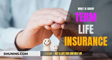 Group Term Life Insurance: What You Need to Know