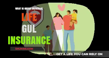 Unraveling the Mystery: Group Universal Life (GUL) Insurance Explained