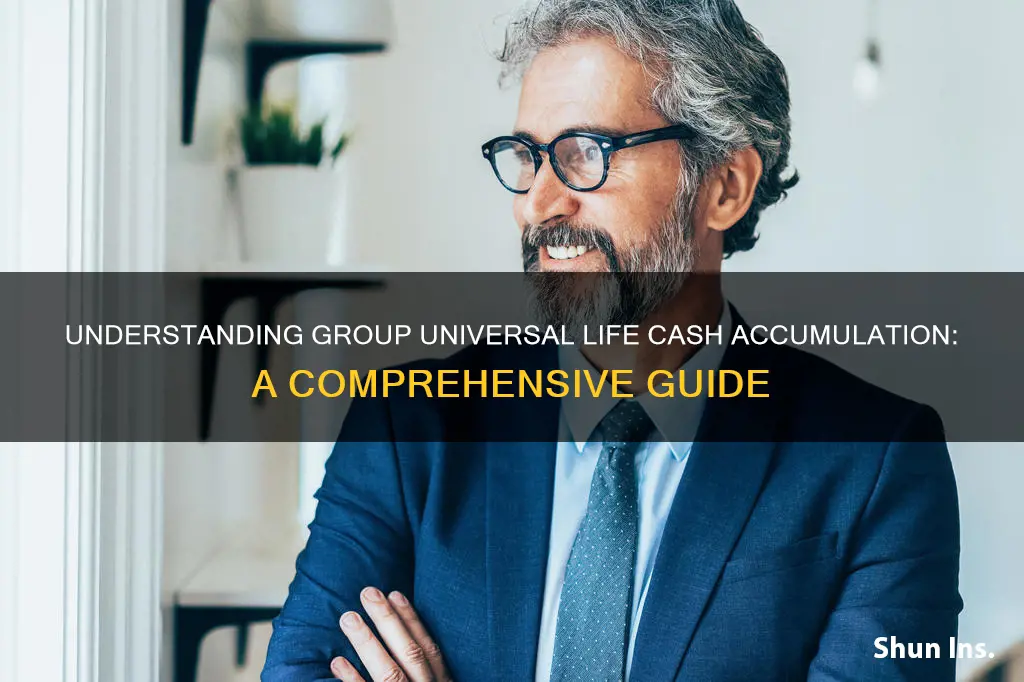 what is group universal life insurance cash accumulation fund