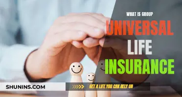 Universal Group Life Insurance: What You Need to Know