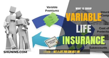 Understanding Group Variable Life Insurance: A Comprehensive Guide