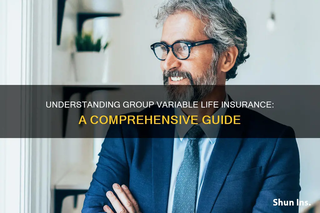 what is group variable life insurance