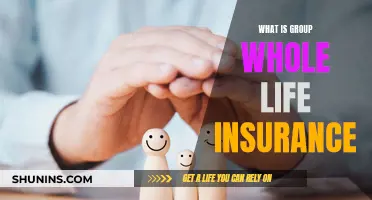 Whole Life Insurance: Group Benefits and Coverage Explained