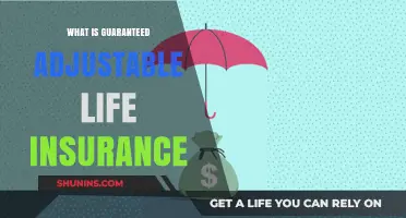 Unlocking the Benefits: Understanding Guaranteed Adjustable Life Insurance