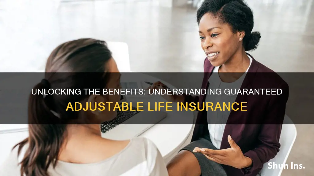 what is guaranteed adjustable life insurance