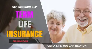 Guaranteed Issue Term Life: A Simplified Insurance Option