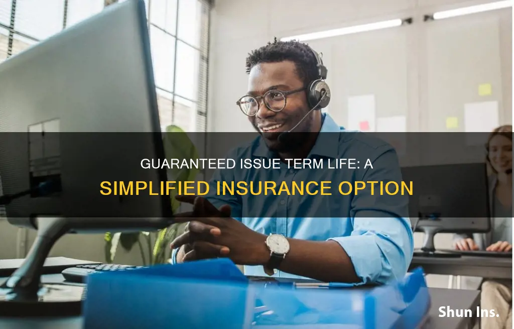 what is guaranteed issue term life insurance