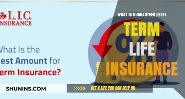 Guaranteed Level Term Life Insurance: Understanding Its Benefits and Drawbacks