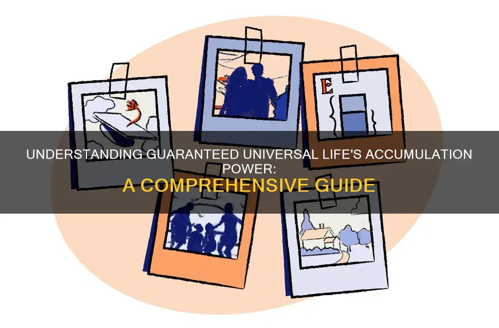 what is guaranteed universal life insurance accumulation value