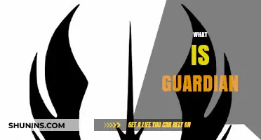 Who or What is a Guardian?