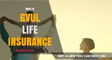 Gvul Life Insurance: A Comprehensive Guide to Understanding Your Coverage