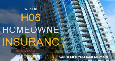 Homeowners Insurance: HO6 Policy Explained