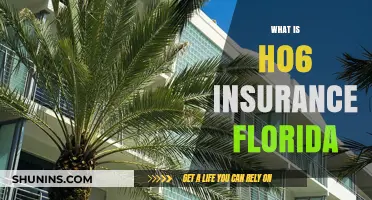 Understanding H0-6 Insurance in Florida: What You Need to Know
