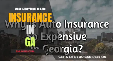 Auto Insurance in Georgia: What's Happening Now?