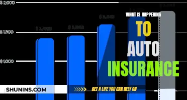 Auto Insurance: The Future of Protection and Coverage