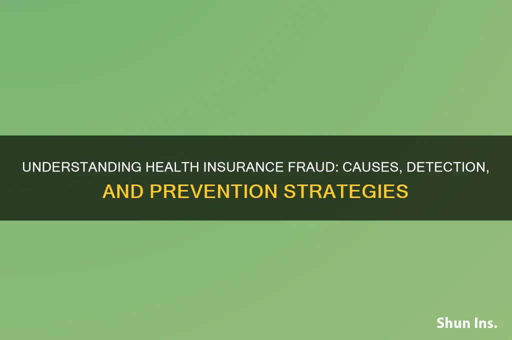 what is health insurance fraud
