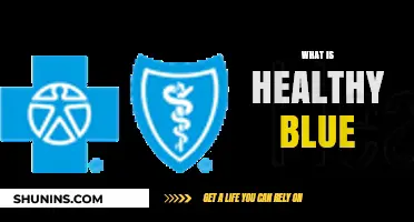 Understanding Healthy Blue: A Comprehensive Guide to Wellness and Coverage