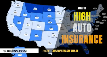 Understanding High Auto Insurance: Costly Coverage Explained