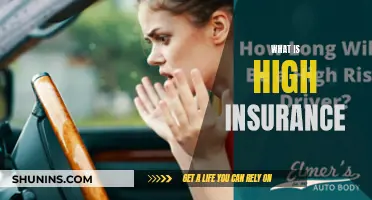 Understanding High Insurance: A Comprehensive Guide