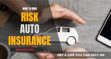 High-Risk Auto Insurance: Who Needs It?