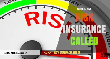 High-Risk Insurance: What You Need to Know